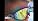 Kids Wide-View Goggles with Earplugs