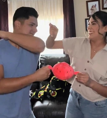 Family using the identical musical plush product